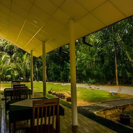 Little Ele Safari Lodge อุดาวาลาเว ภายนอก รูปภาพ