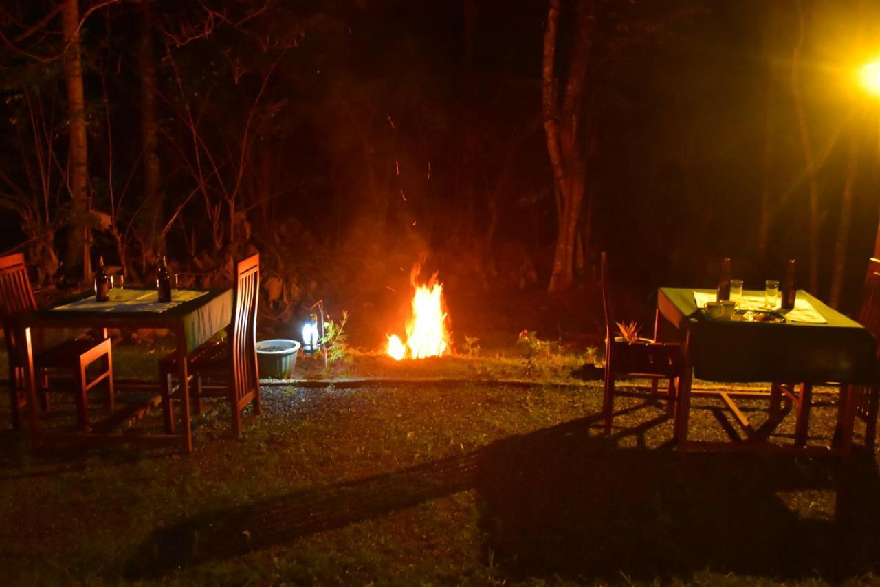 Little Ele Safari Lodge อุดาวาลาเว ภายนอก รูปภาพ