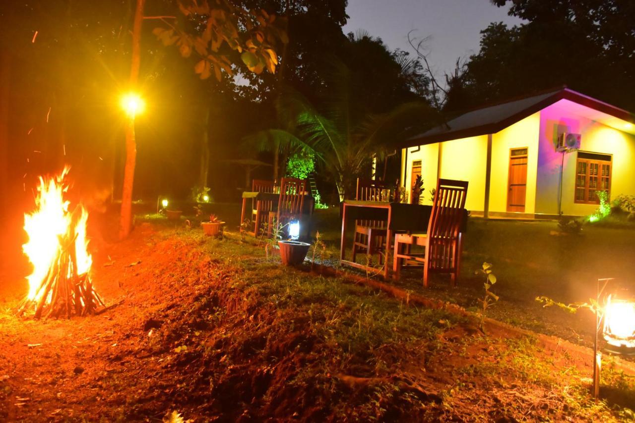 Little Ele Safari Lodge อุดาวาลาเว ภายนอก รูปภาพ