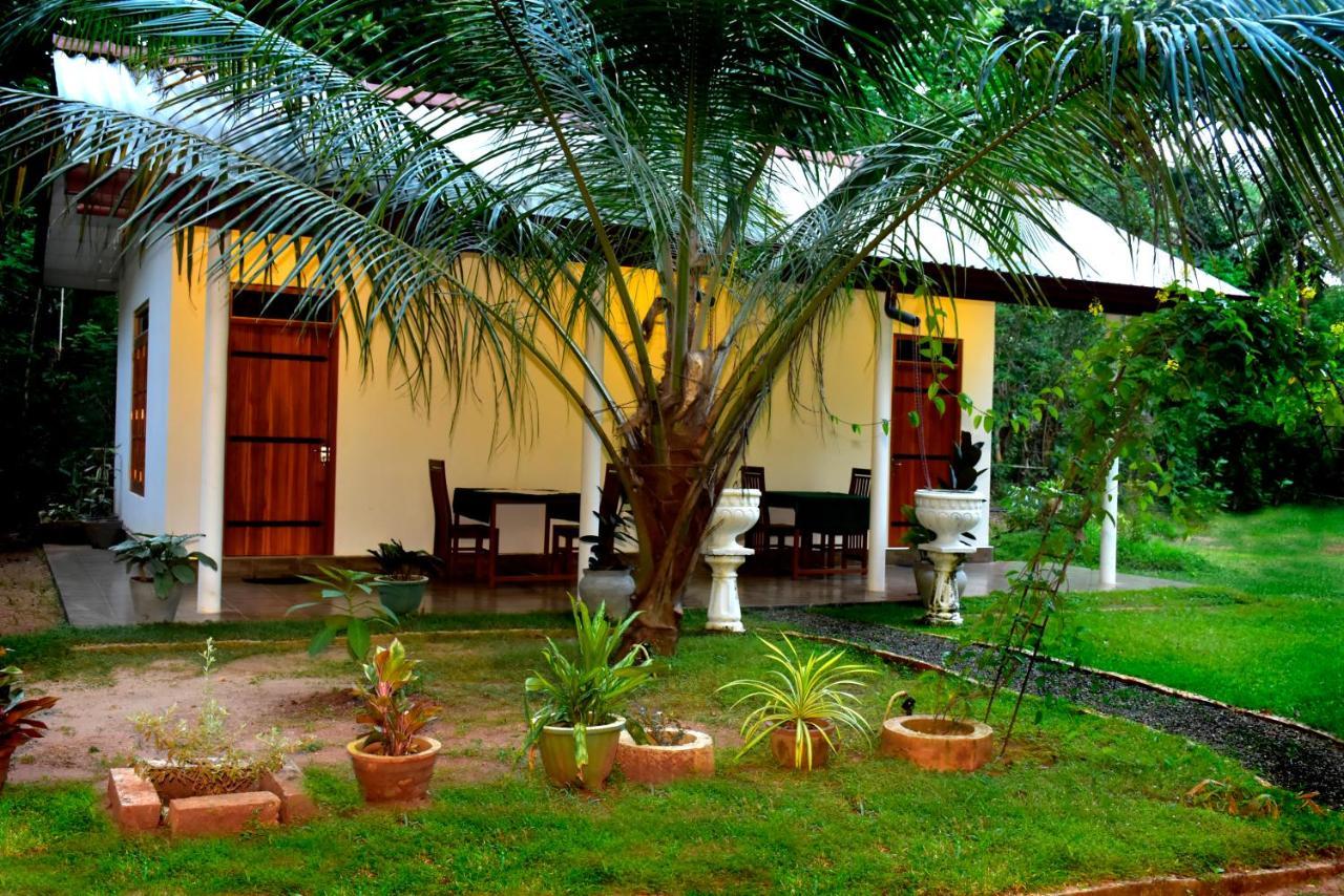 Little Ele Safari Lodge อุดาวาลาเว ภายนอก รูปภาพ