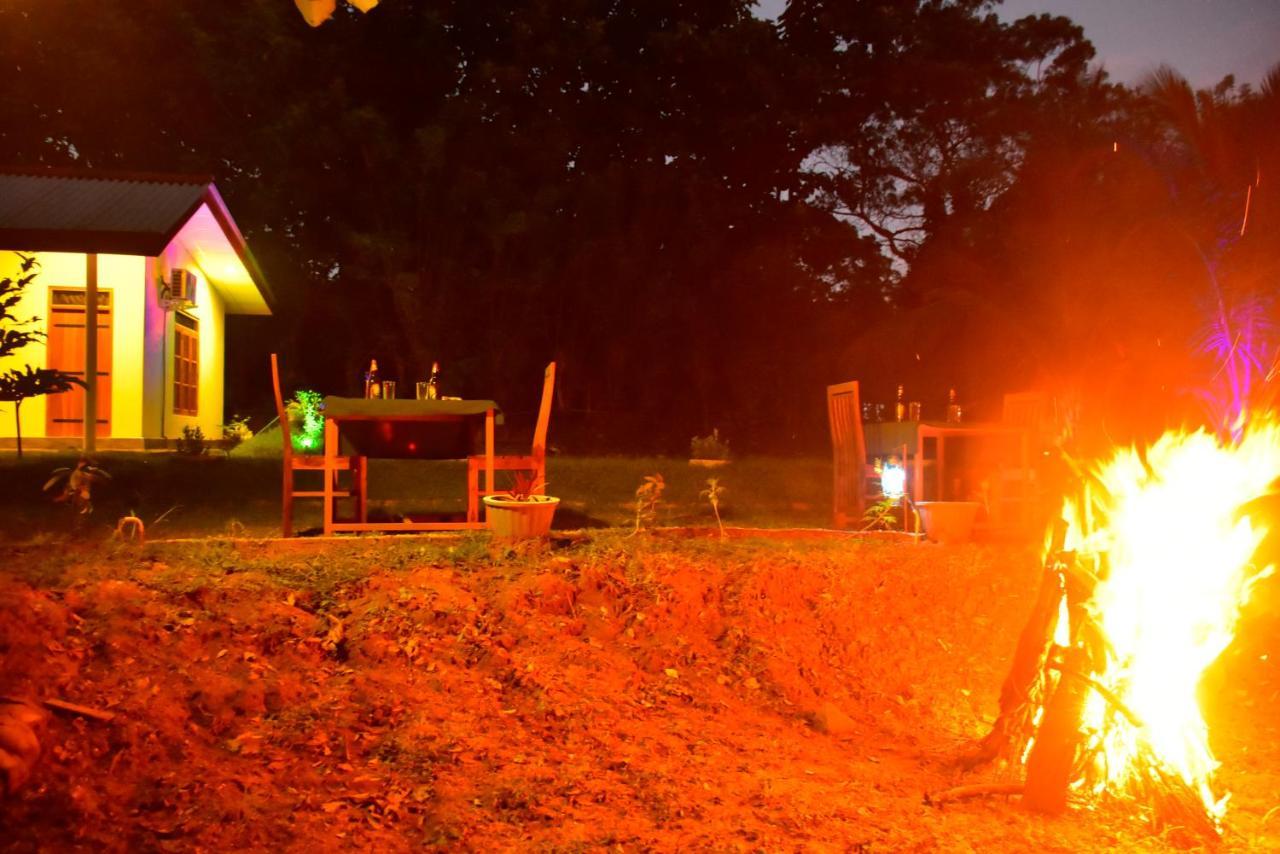 Little Ele Safari Lodge อุดาวาลาเว ภายนอก รูปภาพ